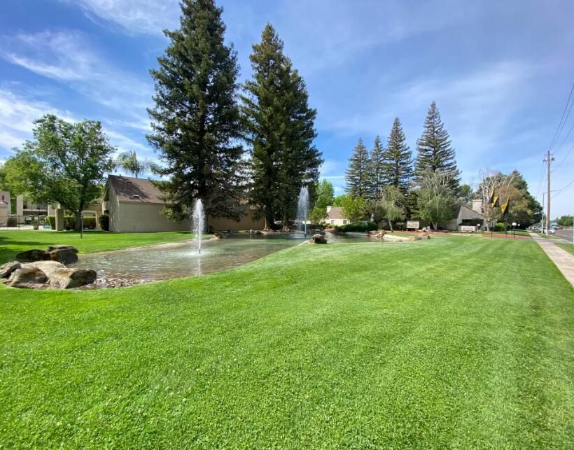 Commercial Landscape Maintenance